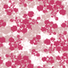 Cherry Blossoms